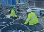 What We Do